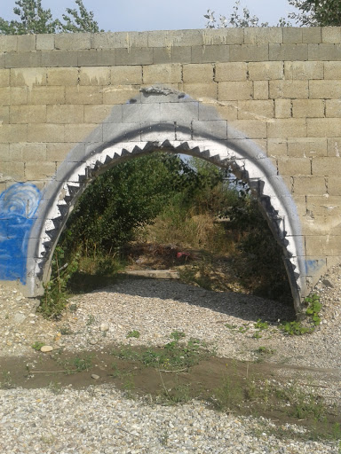 Graffiti Shark