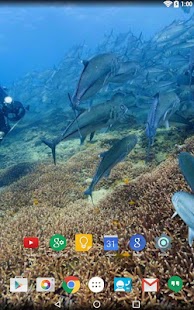 download Panorama Wallpaper: Diving free
