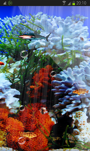 Best Marine Aquarium HD LWP