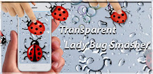 Transparent Lady Bug Smasher APK