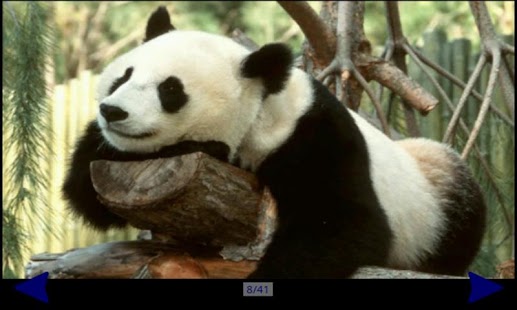 Lastest Panda Gallery HD APK for Android