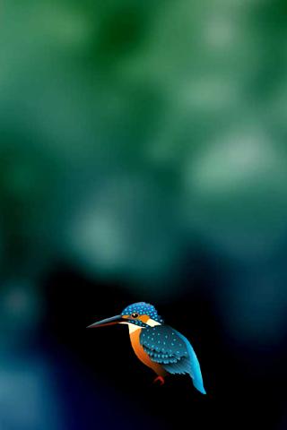 【免費個人化App】Kingfisher LiveWallpaper Trial-APP點子