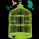 AngryBirds Seasons unlock