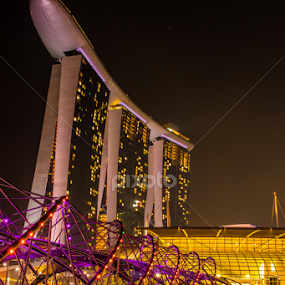 Singapore's DNA by Michael Pua - City,  Street & Park Night