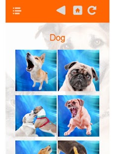 Free Download Dog Cat Animal Sounds APK for PC