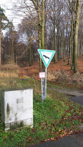 Naturschutzgebiet Teutoburger Wald