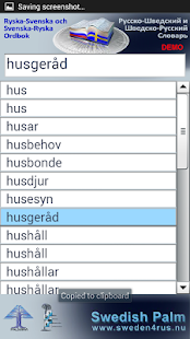 Swedish-Russian Dictionary DEM Screenshots 4