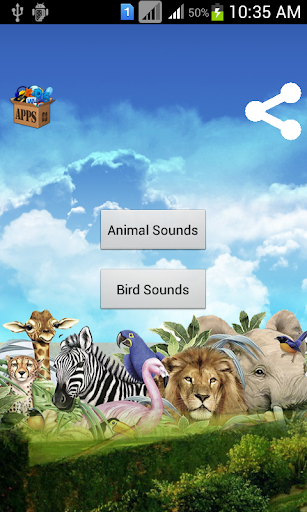 Animal Bird Sounds