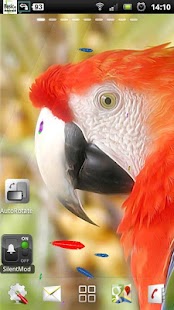 Free live parrot wallpaper APK for PC