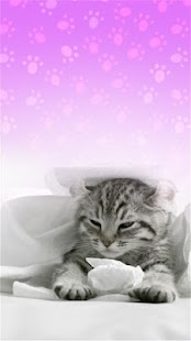 How to mod Purring Tiger kitten LWP Purr mod apk for pc