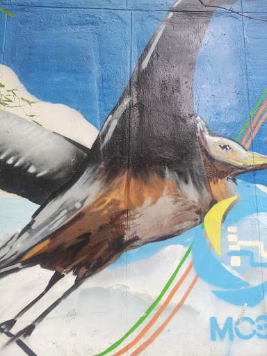 Графф Черная Птица