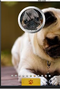 Pug Theme Screenshots 0