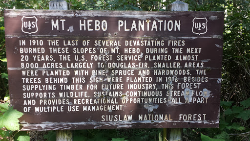 Mt. Hebo Plantation 