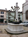 Fontaine Temple Carouge