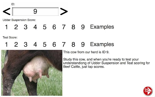 Free Download Udder & Teat Scoring Beef Cows APK for Android