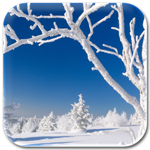 Winner Snow Lock & Wallpaper.apk 1.0