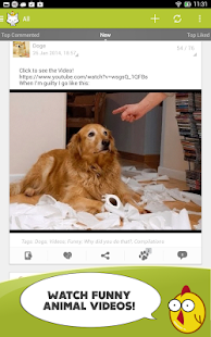 Cute Animals Photos Wallpapers Screenshots 7