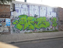 Graffitti 1 Costado De La Via
