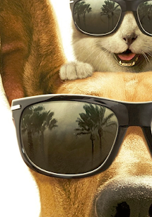 Free Imagenes para line APK