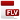 FLV Video Player