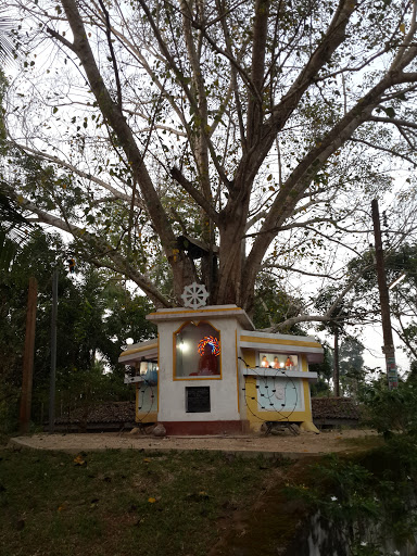 Buddha Statue and Boo Tree Athrajagama