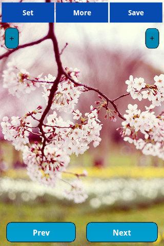 Spring Wallpapers