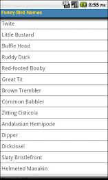 Funny bird names poster 1