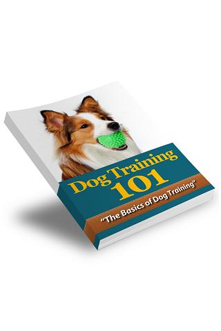 Dog Training 101