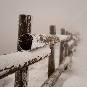 Ghosts In The Whiteout by Doug Craig - Landscapes Weather