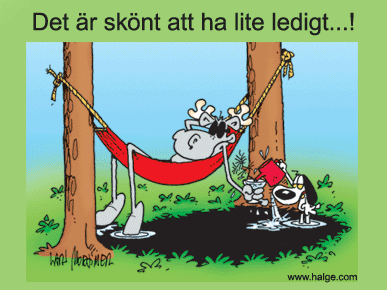 [lite_ledigt[3].gif]