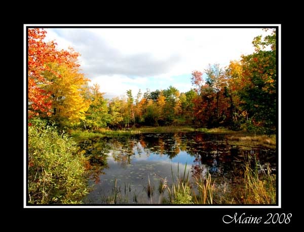 [Maine08_web[10].jpg]