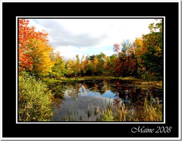 Maine08_web