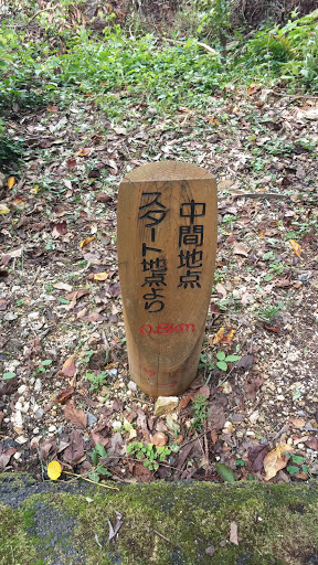 青島　中間地点　スタート地点より0.8km