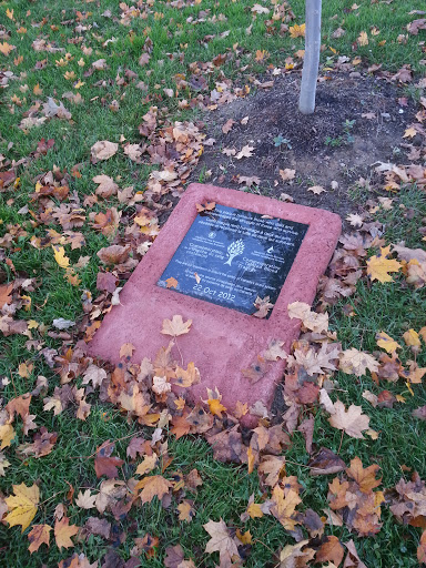 Tainted Blood Tragedy Plaque
