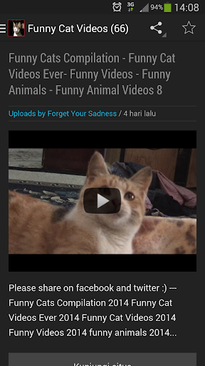 Funny Cat Videos