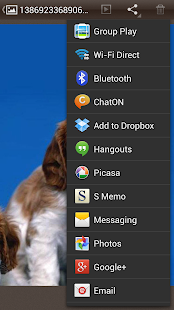 download Gallery & Album Foto free