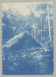 Gouddelverskamp aan den voet van den Brownsberg