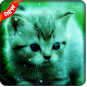 Cute Cat Live Wallpaper APK