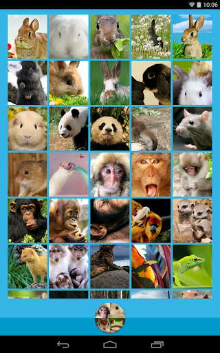 【免費個人化App】Animal Wallpapers-APP點子