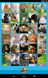 Animal Wallpapers poster 12