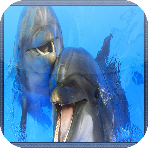 Dolphin Jigsaw Puzzle LOGO-APP點子