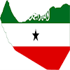 All Somaliland News