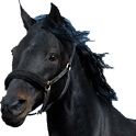 Horse Race logo