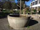 Brunnen In Meiningen