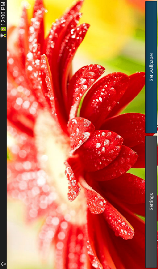 Flowers Wallpaper - Android Apps on Google Play