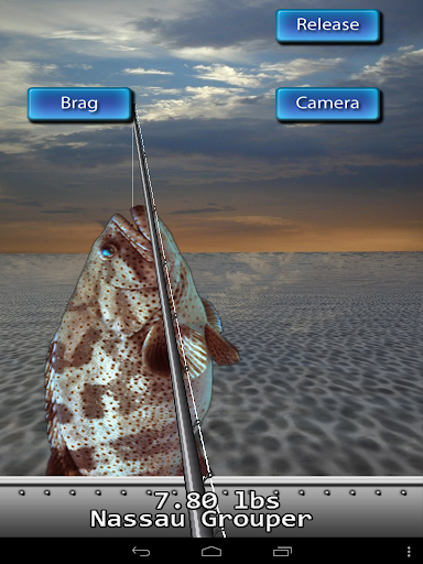 免費下載模擬APP|Saltwater Fishing For Friends app開箱文|APP開箱王