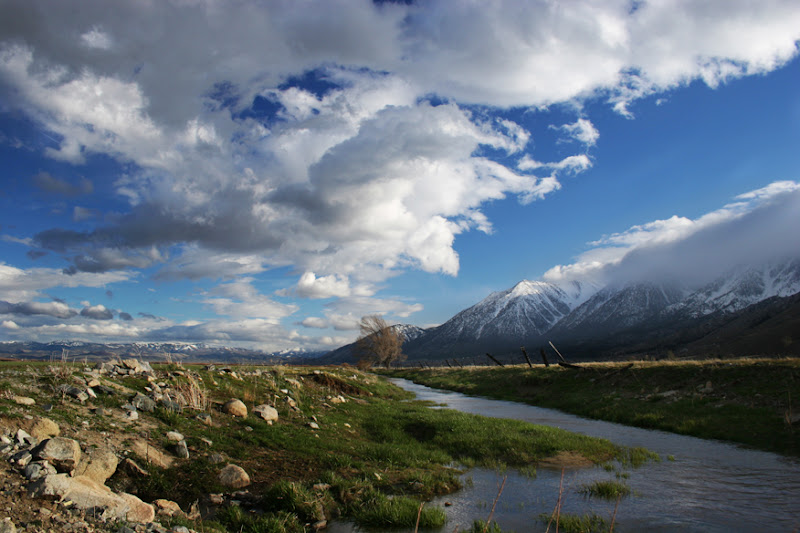 Real weddings in Gardnerville, NV, USA  Wedding Mapper