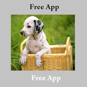 Animal Sounds (Book).apk 1.0