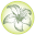 Nirvana Beauty Laser Clinics Download on Windows
