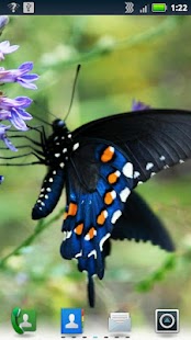 How to mod Butterflies Live Wallpaper lastet apk for bluestacks